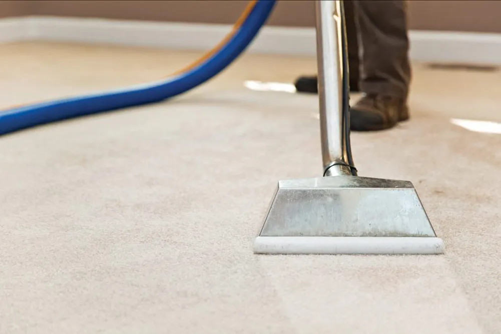 Reliable Carpet Cleaning Westchester NY