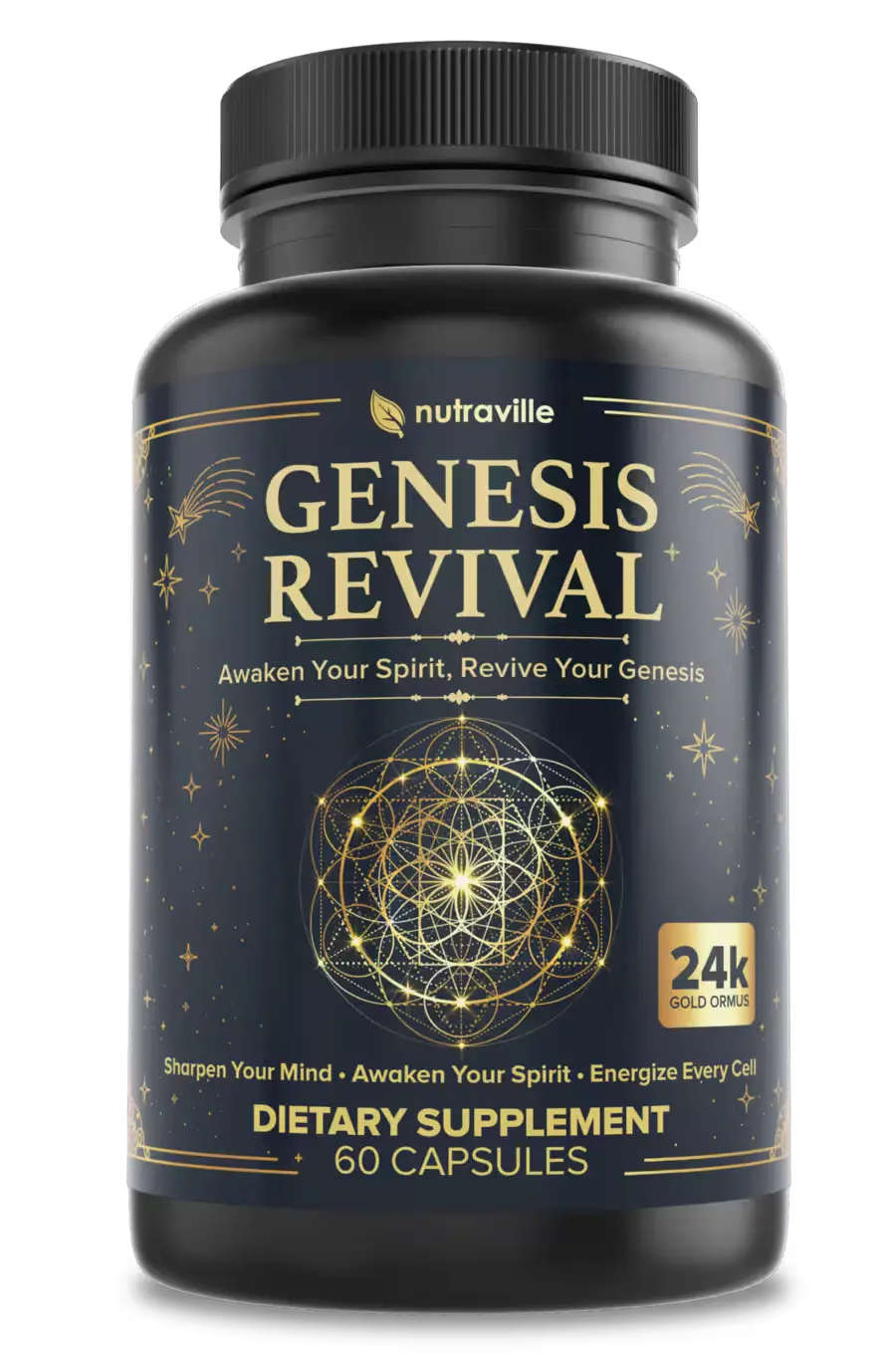 Shop Genesis Revival