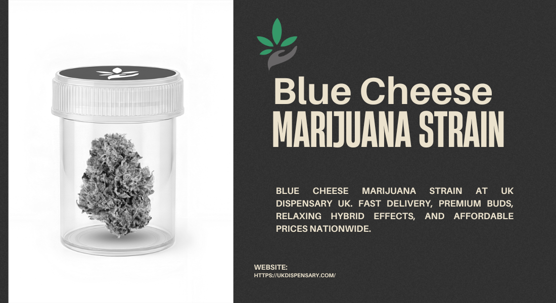 Blue Cheese Marijuana Strain