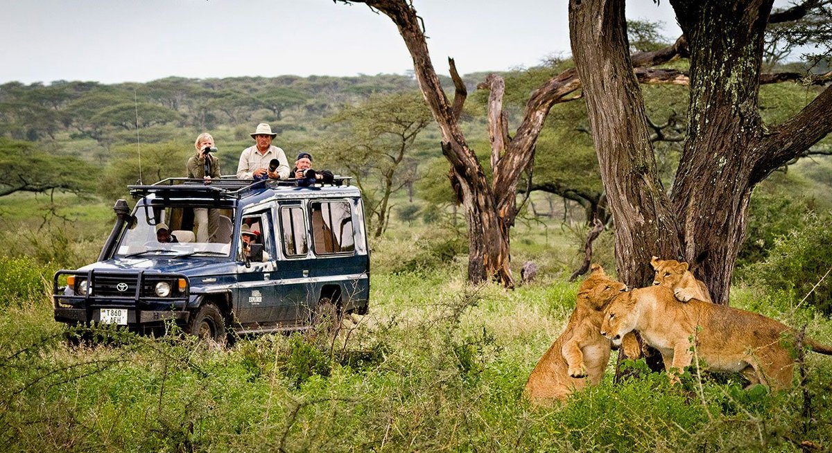 Safari Holidays