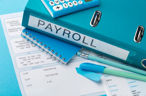 Payroll Software
