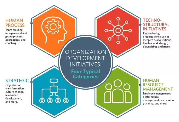 human and organizational development