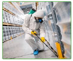 Termite control services in Lahore